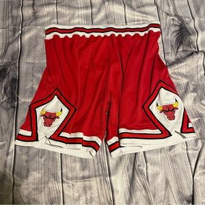 NBA Chicago Bulls 1975-76 Mitchell & Ness Swingman Shorts